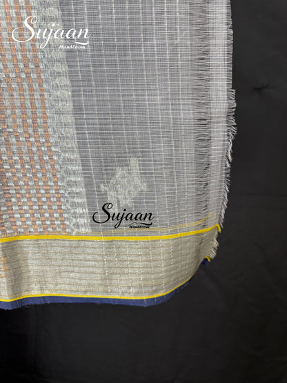 Closeup View: Kota Saree