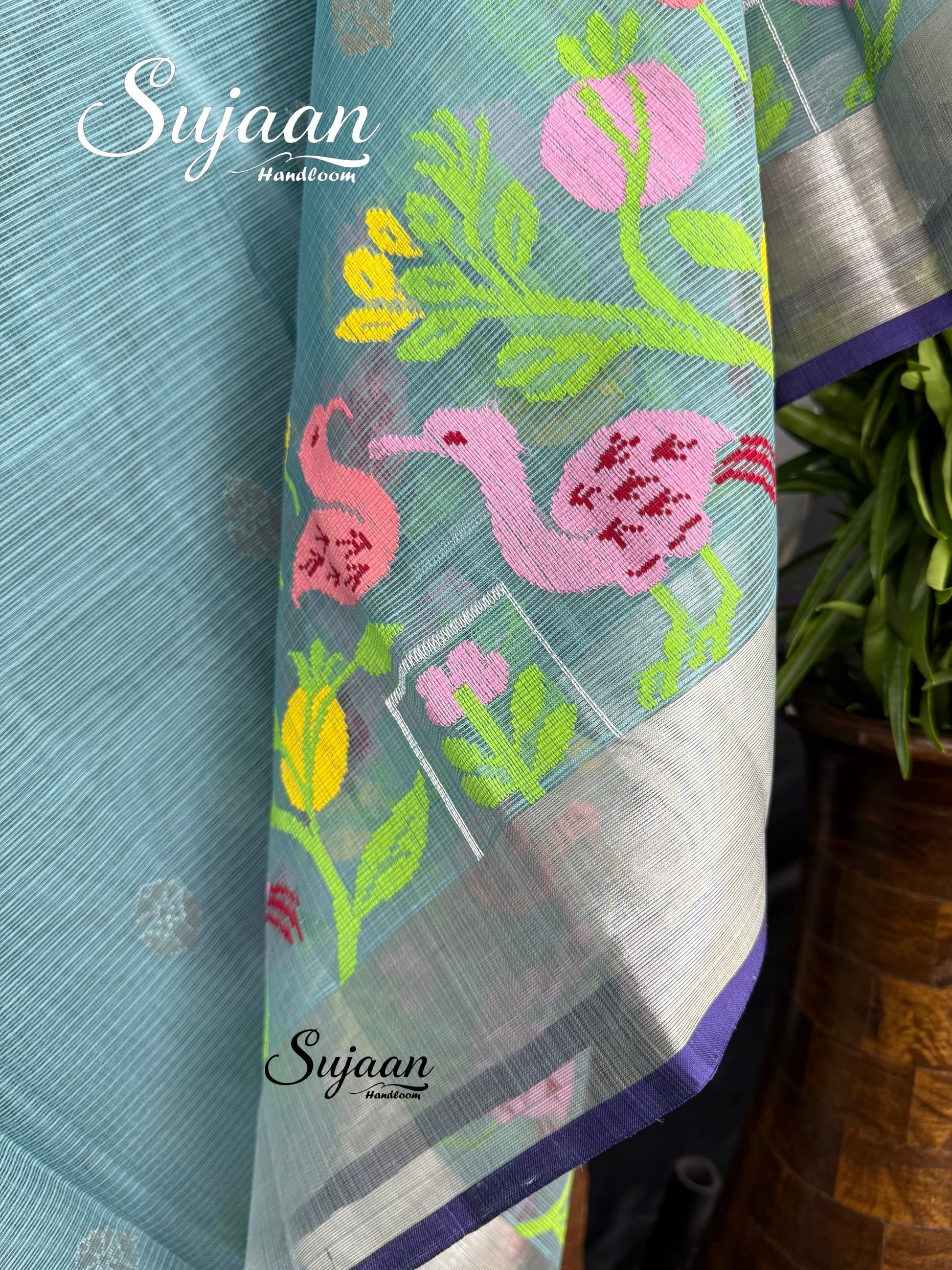 Border View: Silver Zari Pallu