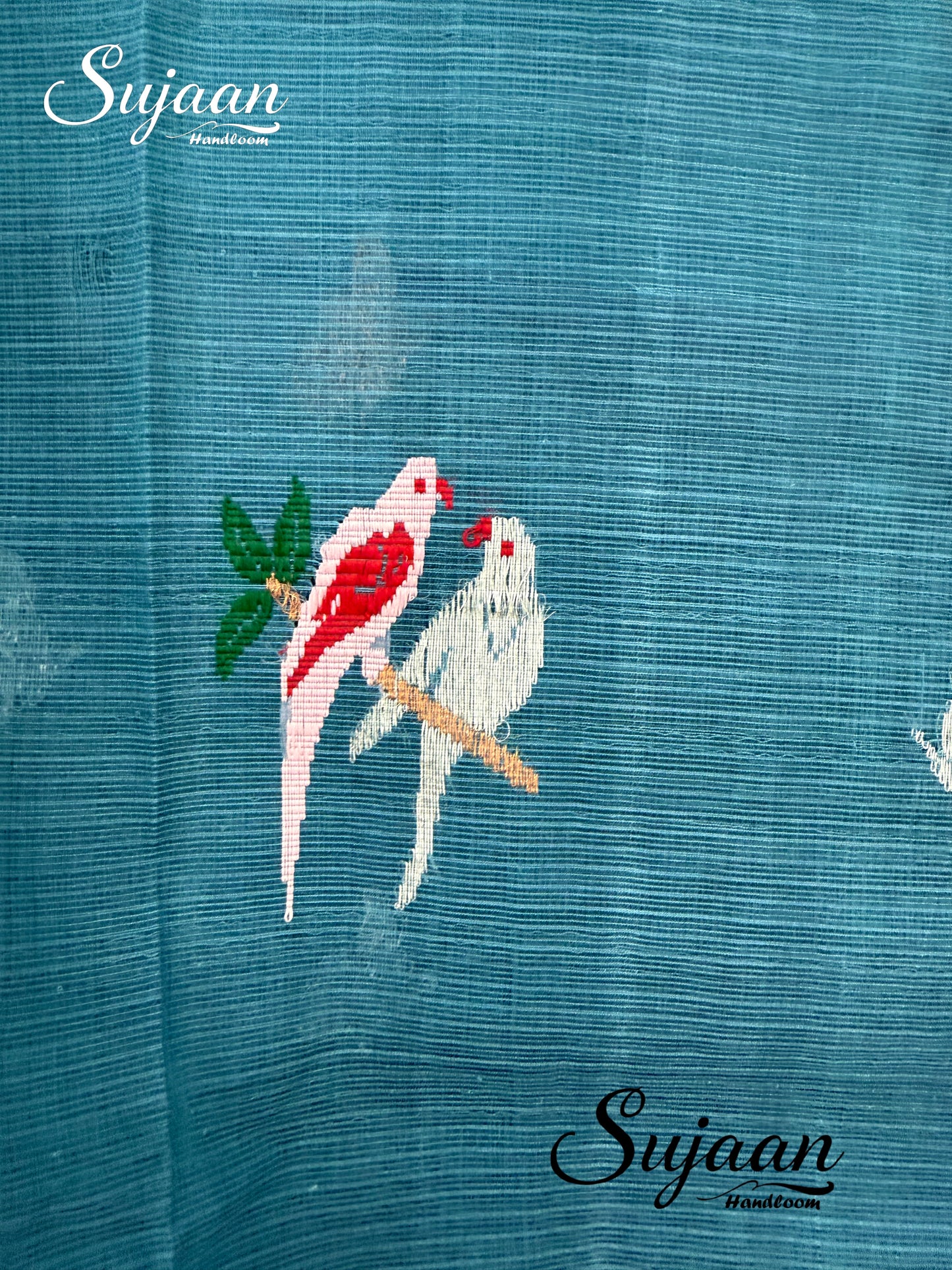 Closeup View: kota saree