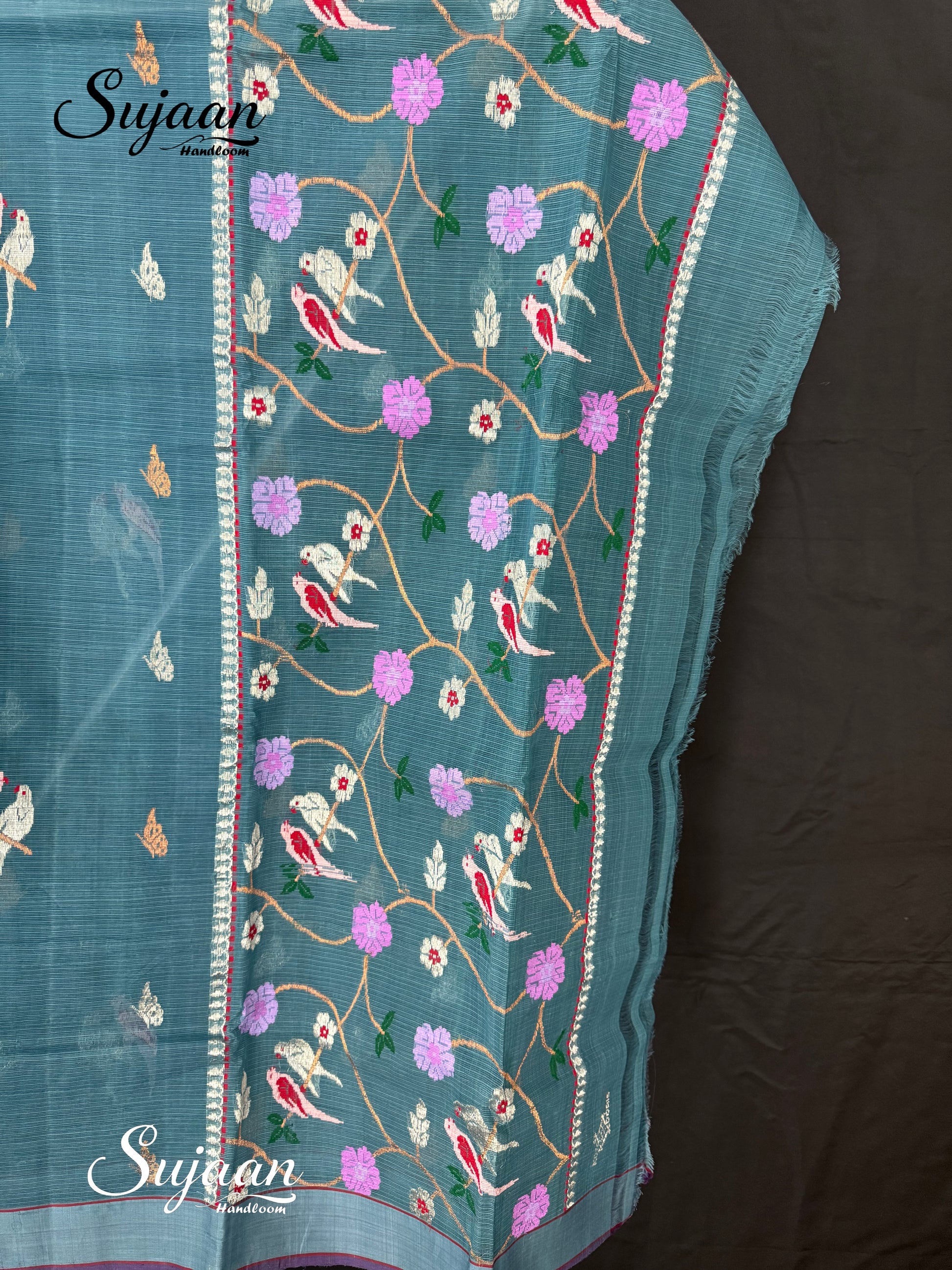 Pallu View: Bird Motif Saree