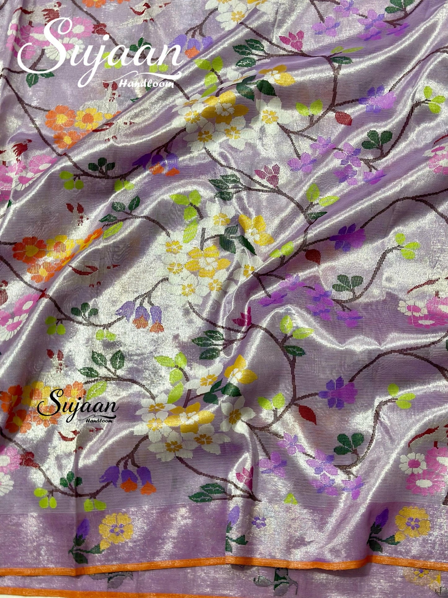 front View: Kota Saree