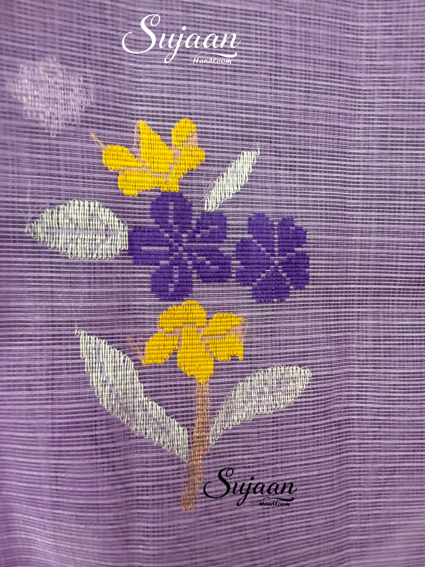 Closeup View: Handloom Saree