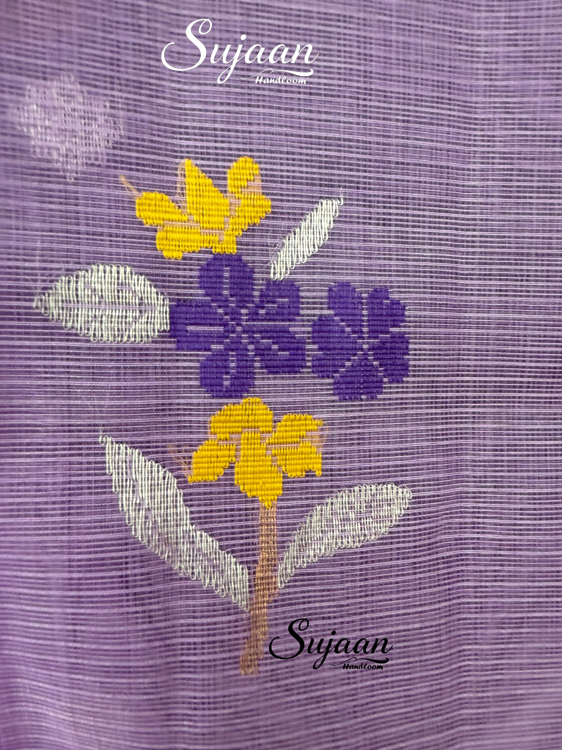 Closeup View: Handloom Saree