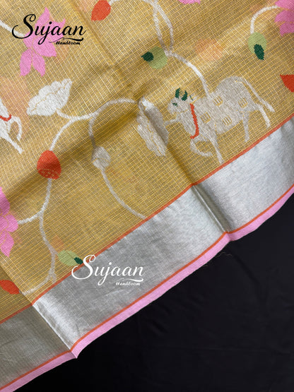 Border View: Zari Kota Saree