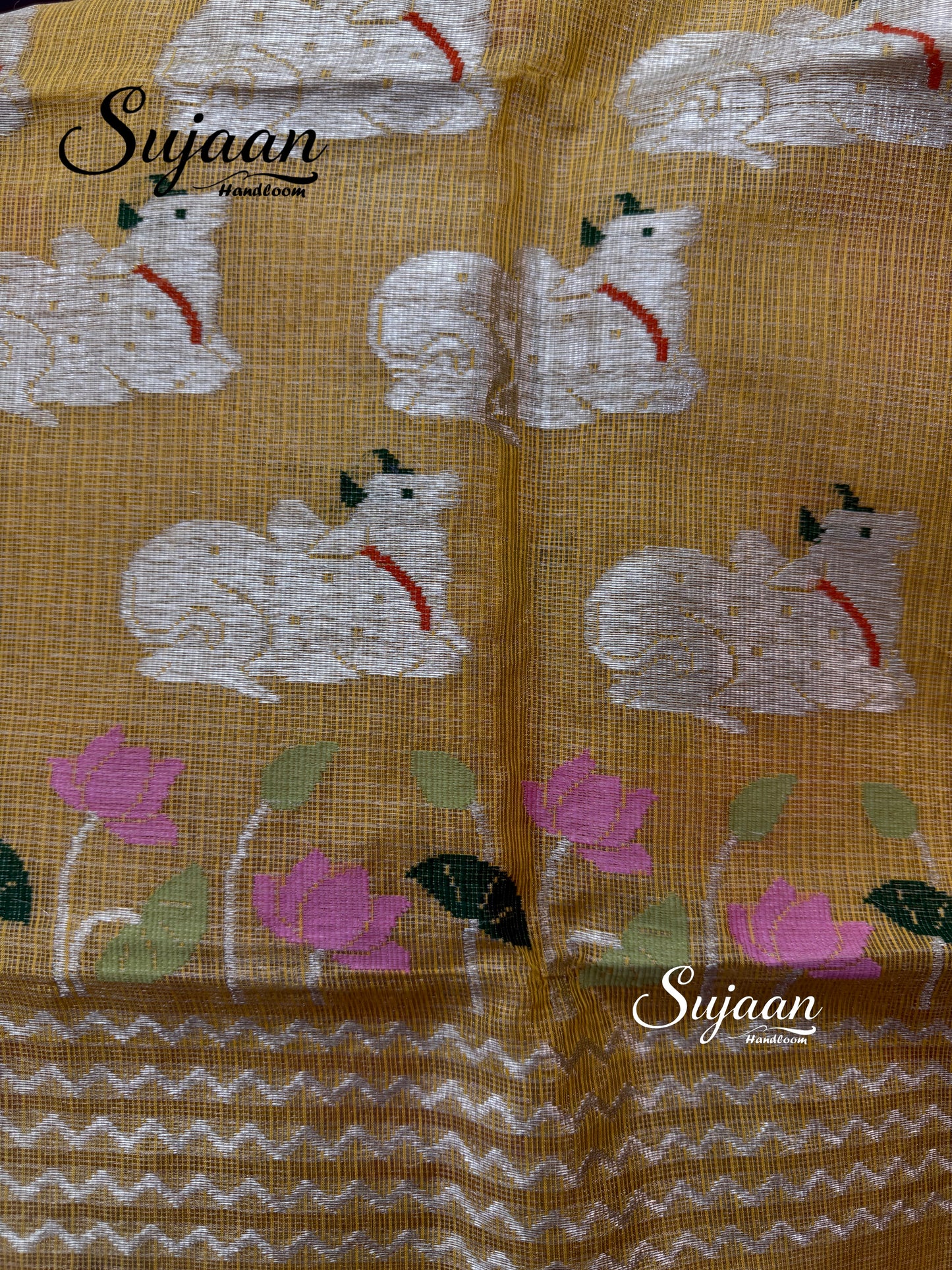 Close Up View: Zari Weave Saree