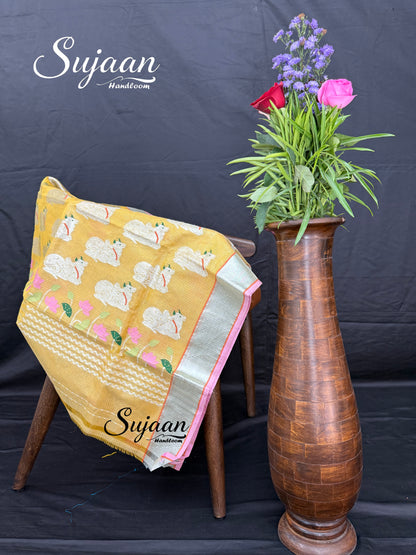 Border View: Kota Saree