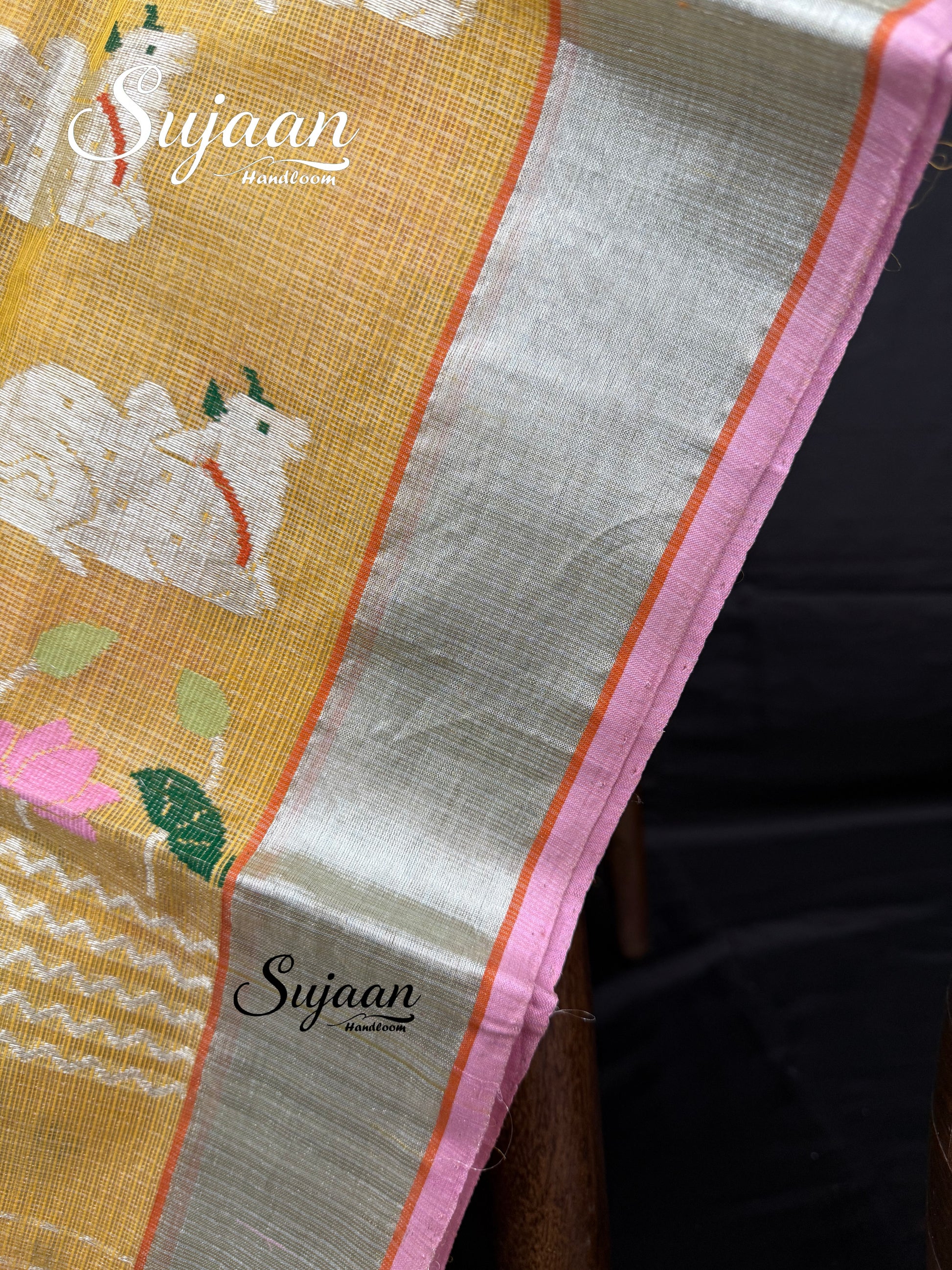 Border View: Handloom Saree