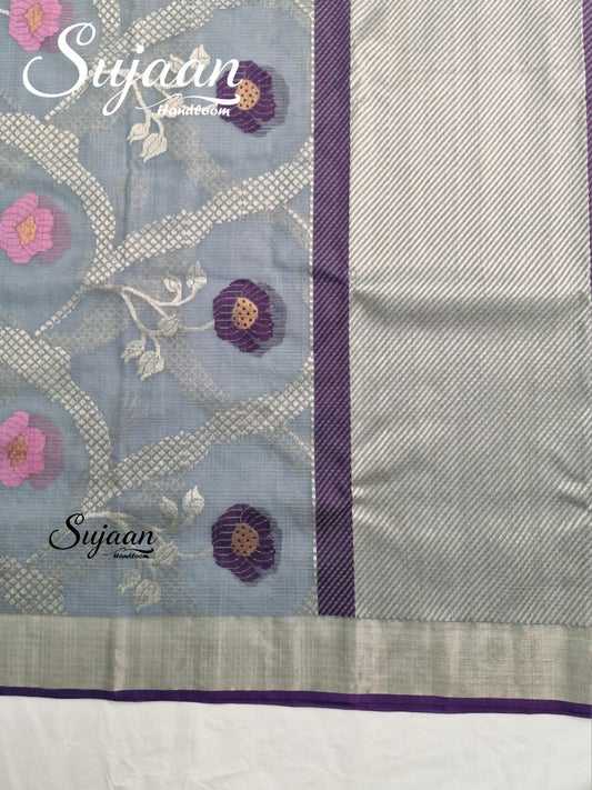 Border View: Handloom Saree